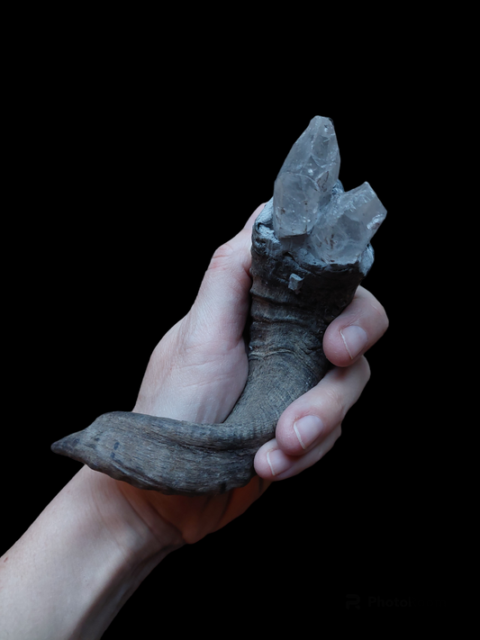 Old Nepalese shamanic horn stick #2