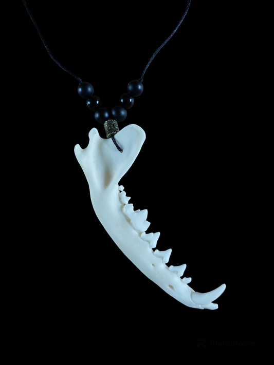 Fox jaw bone and obsidian amulet necklace