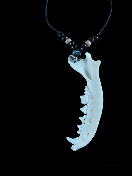 Fox jaw bone and yak bone amulet necklace