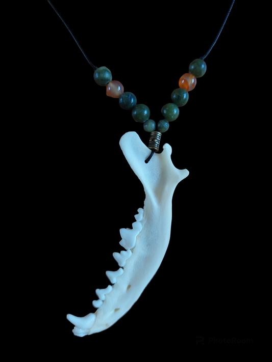 Fox jaw bone with jade and carnelian amulet necklace