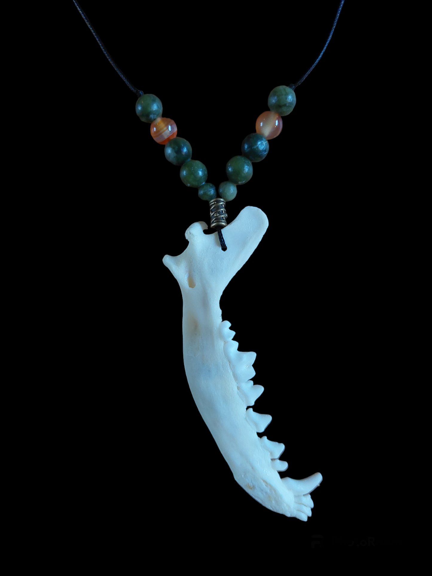 Fox jaw bone with jade and carnelian amulet necklace