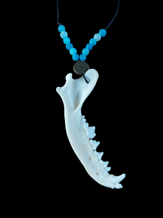 Fox jaw bone and blue agate amulet necklace