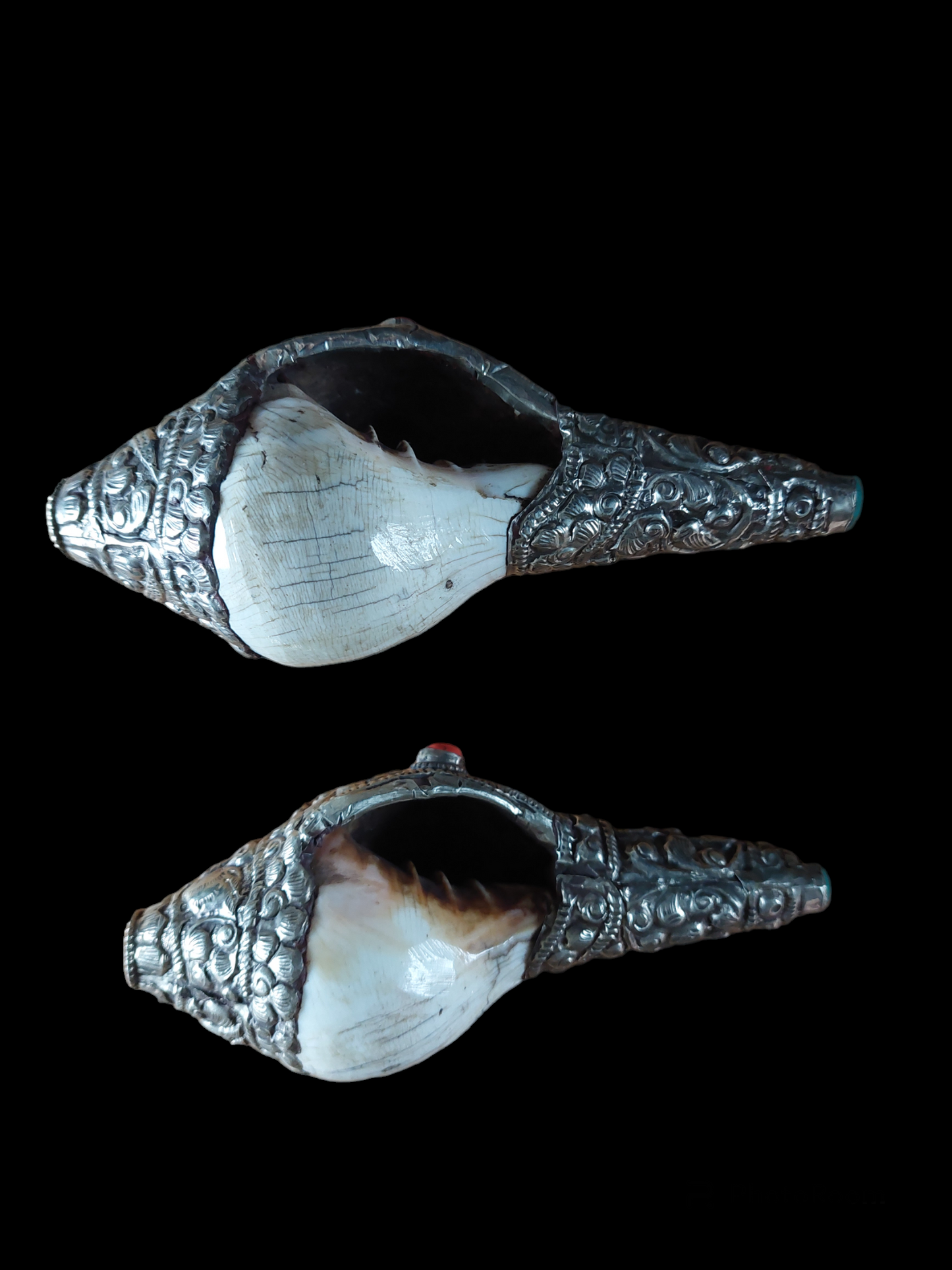 Vintage Nepalese shankha conch shell