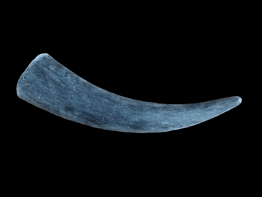 Cow horn, B-quality
