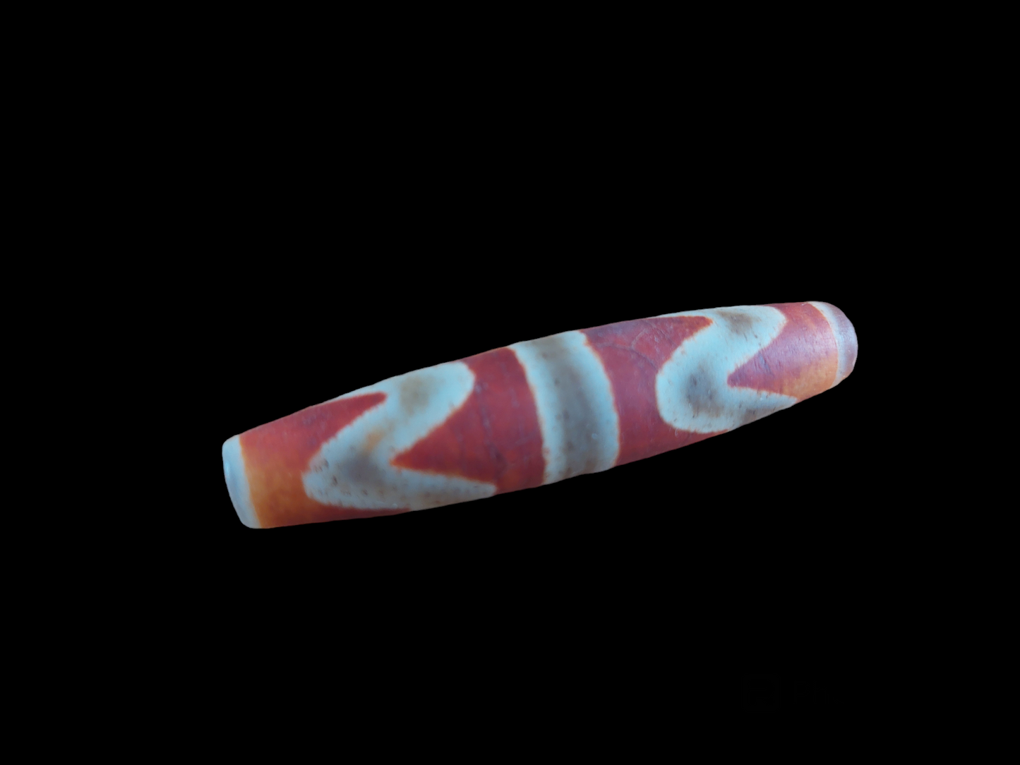 Double tiger tooth dzi bead #1