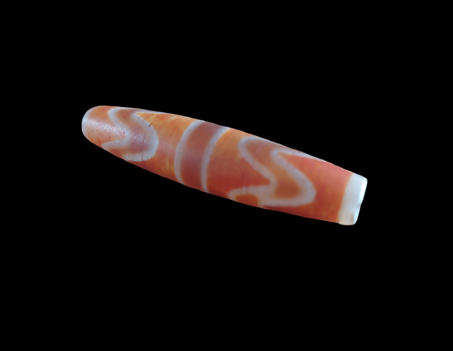 Double tiger tooth dzi bead #2