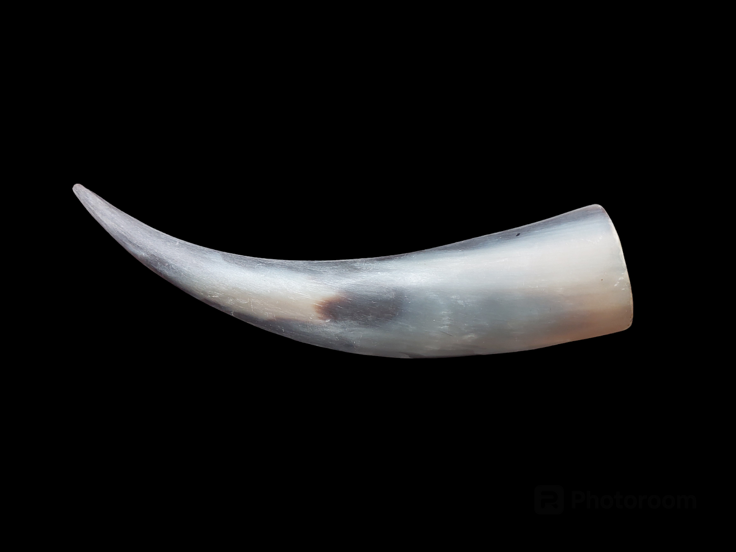 Cow horn