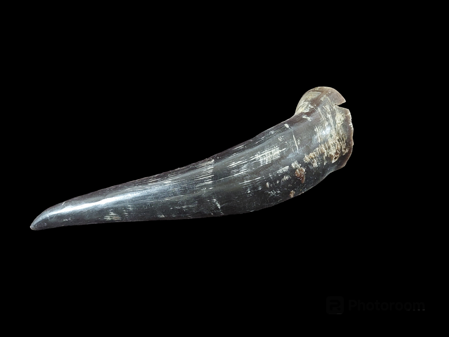 Cow horn, B-quality