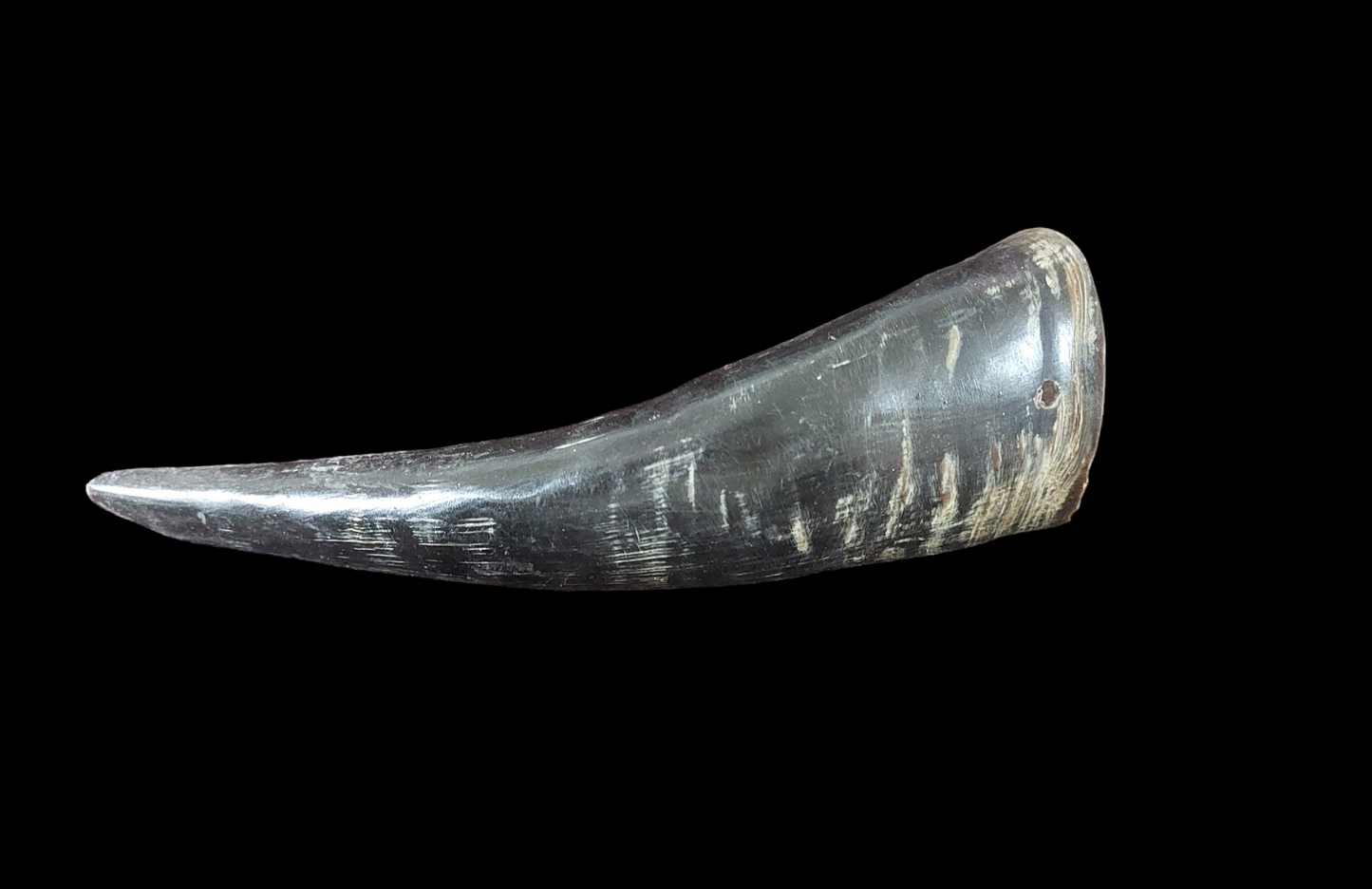 Cow horn, B-quality