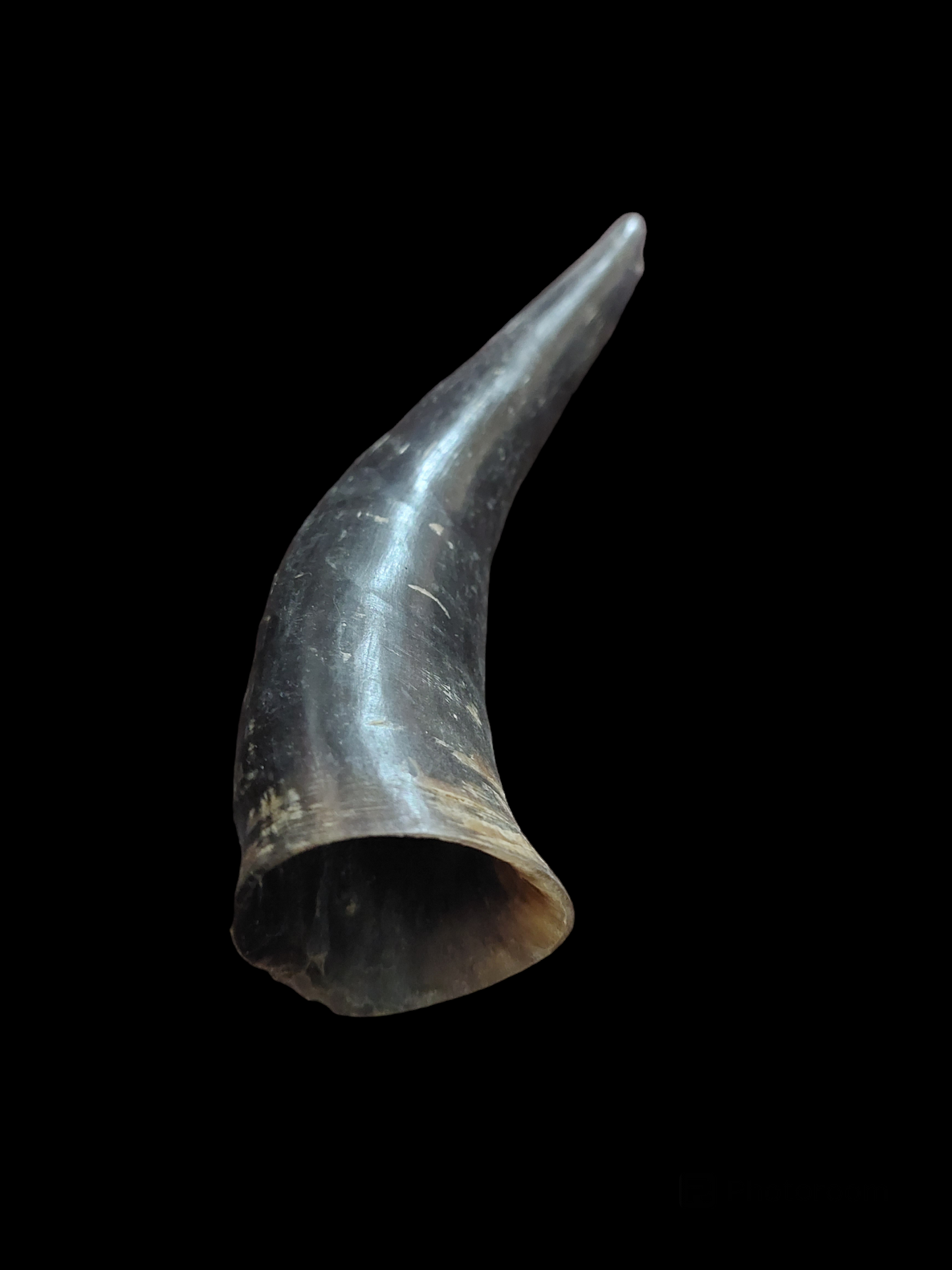 Cow horn, B-quality