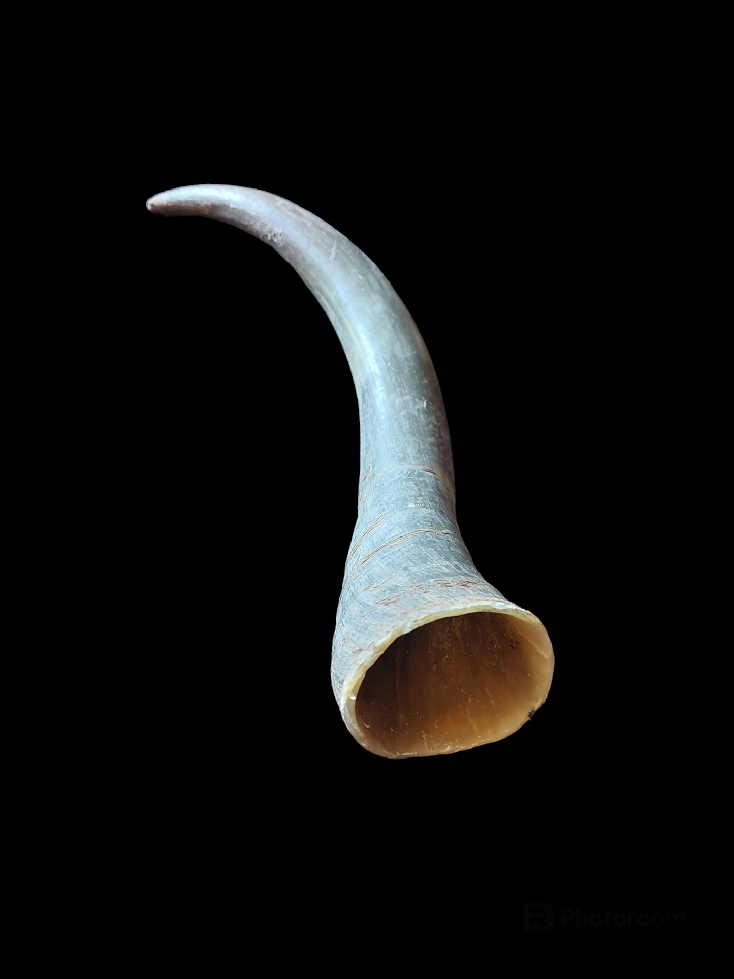 Cow horn