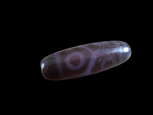 6 eye and turtle back dzi bead #3