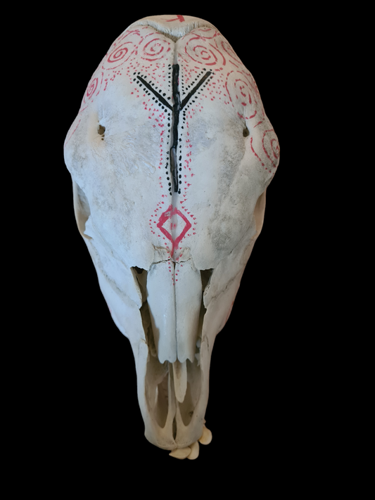 Decorated Skull