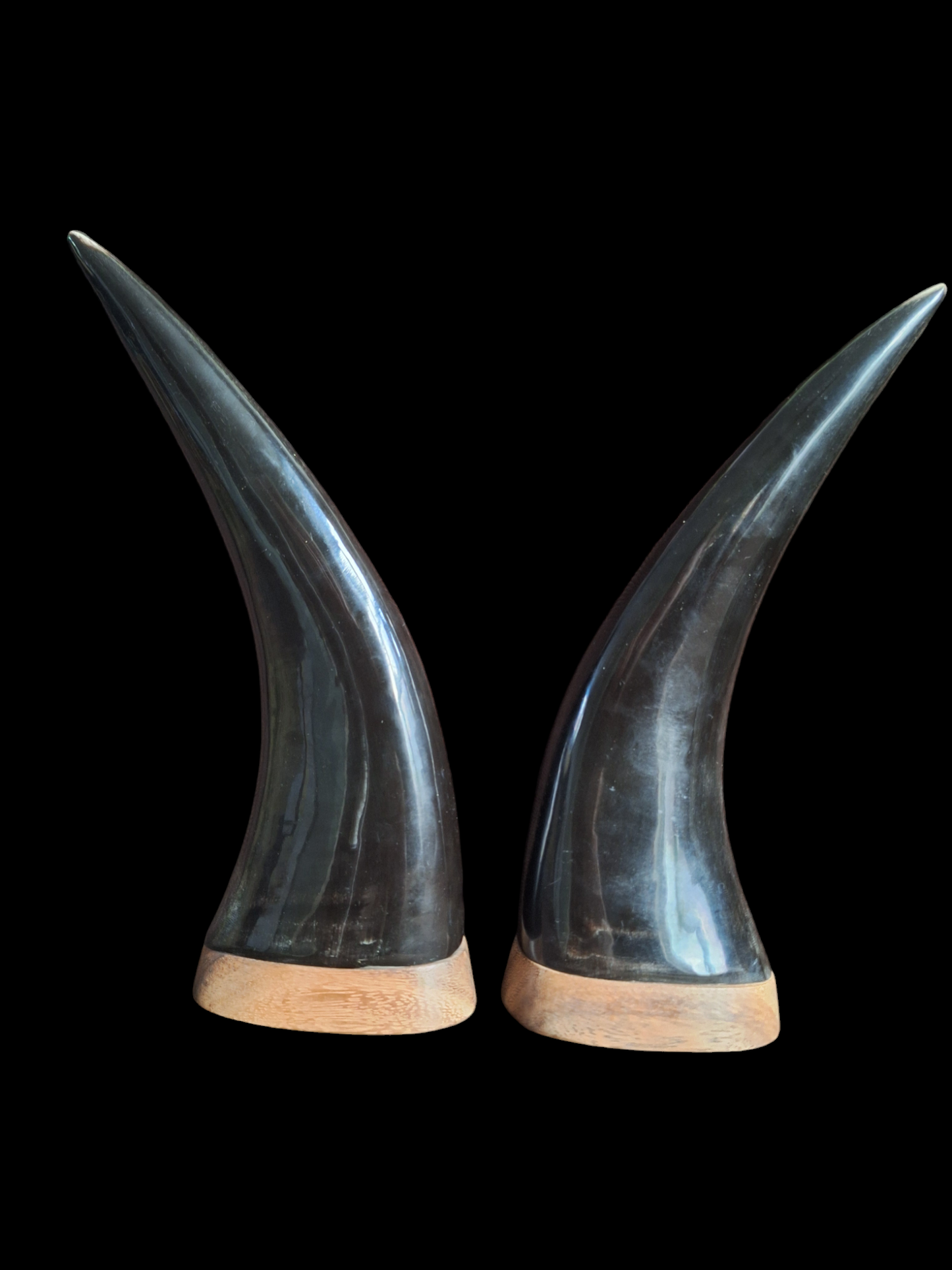 Carved water buffalo horns, set of two