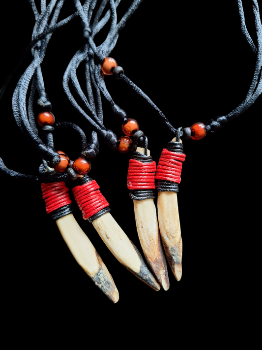 Wild boar incisor tooth necklace