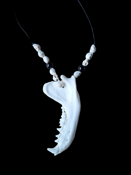 Badger jaw bone with howlite skulls and obsidian amulet necklace