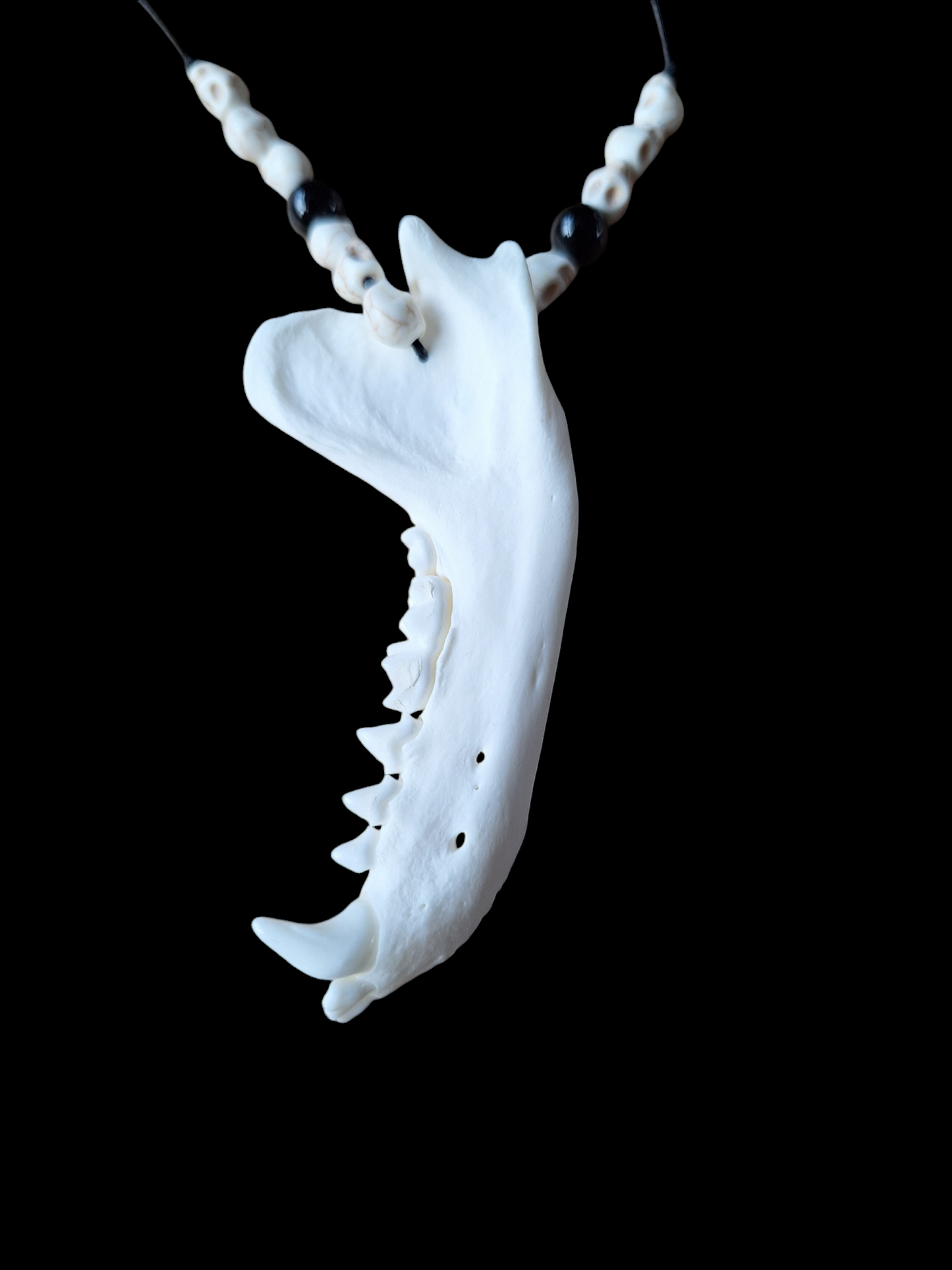 Badger jaw bone with howlite skulls and obsidian amulet necklace