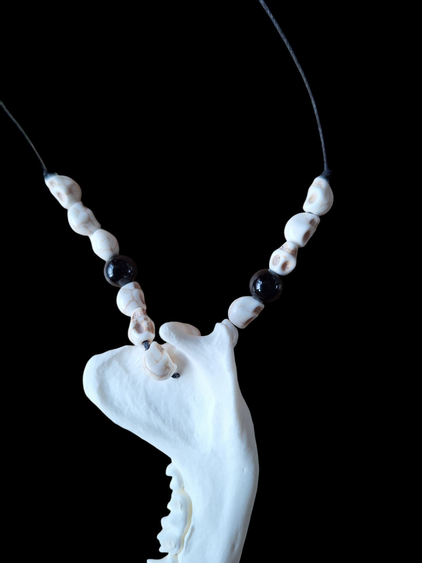 Badger jaw bone with howlite skulls and obsidian amulet necklace