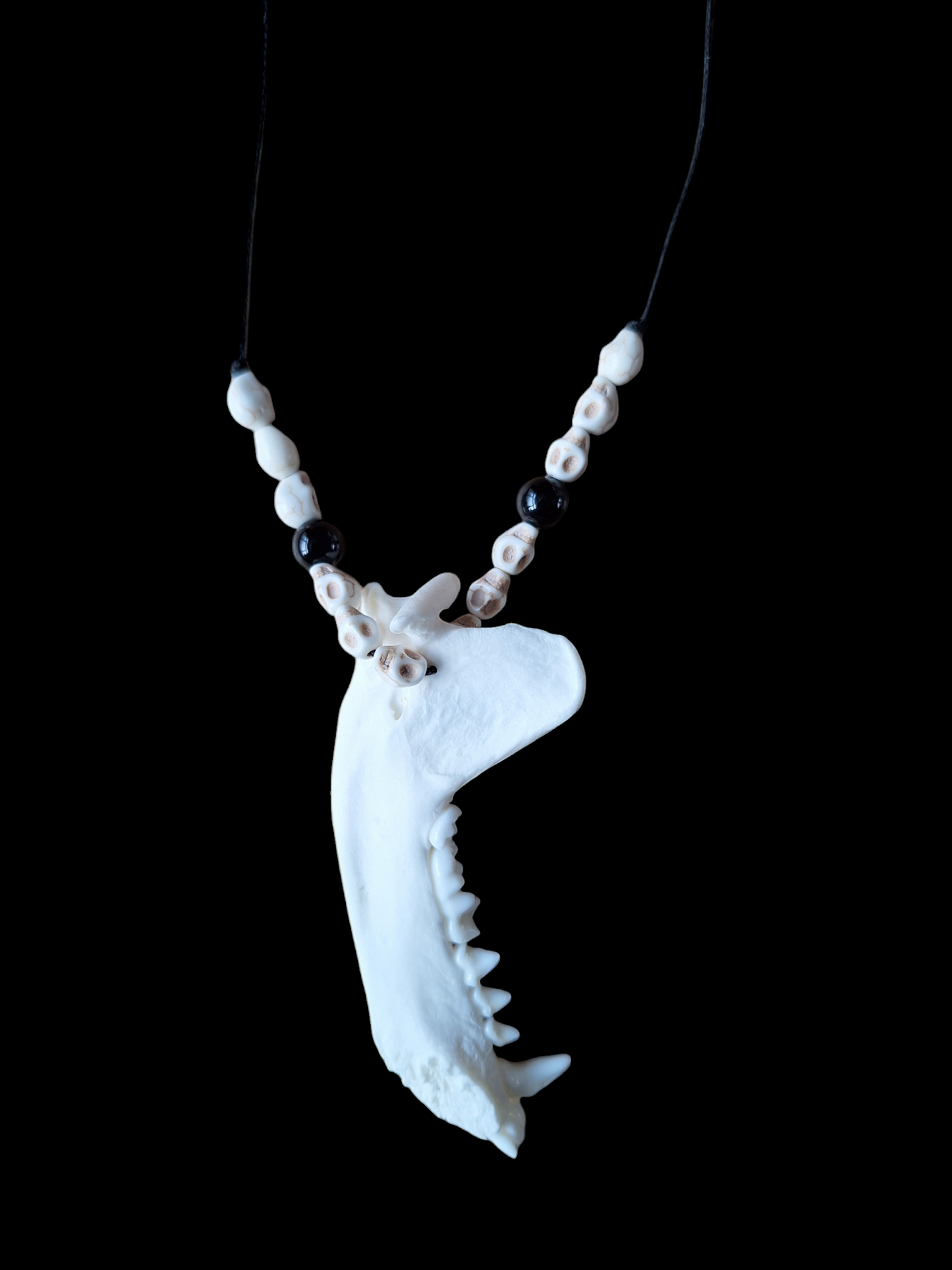 Badger jaw bone with howlite skulls and obsidian amulet necklace