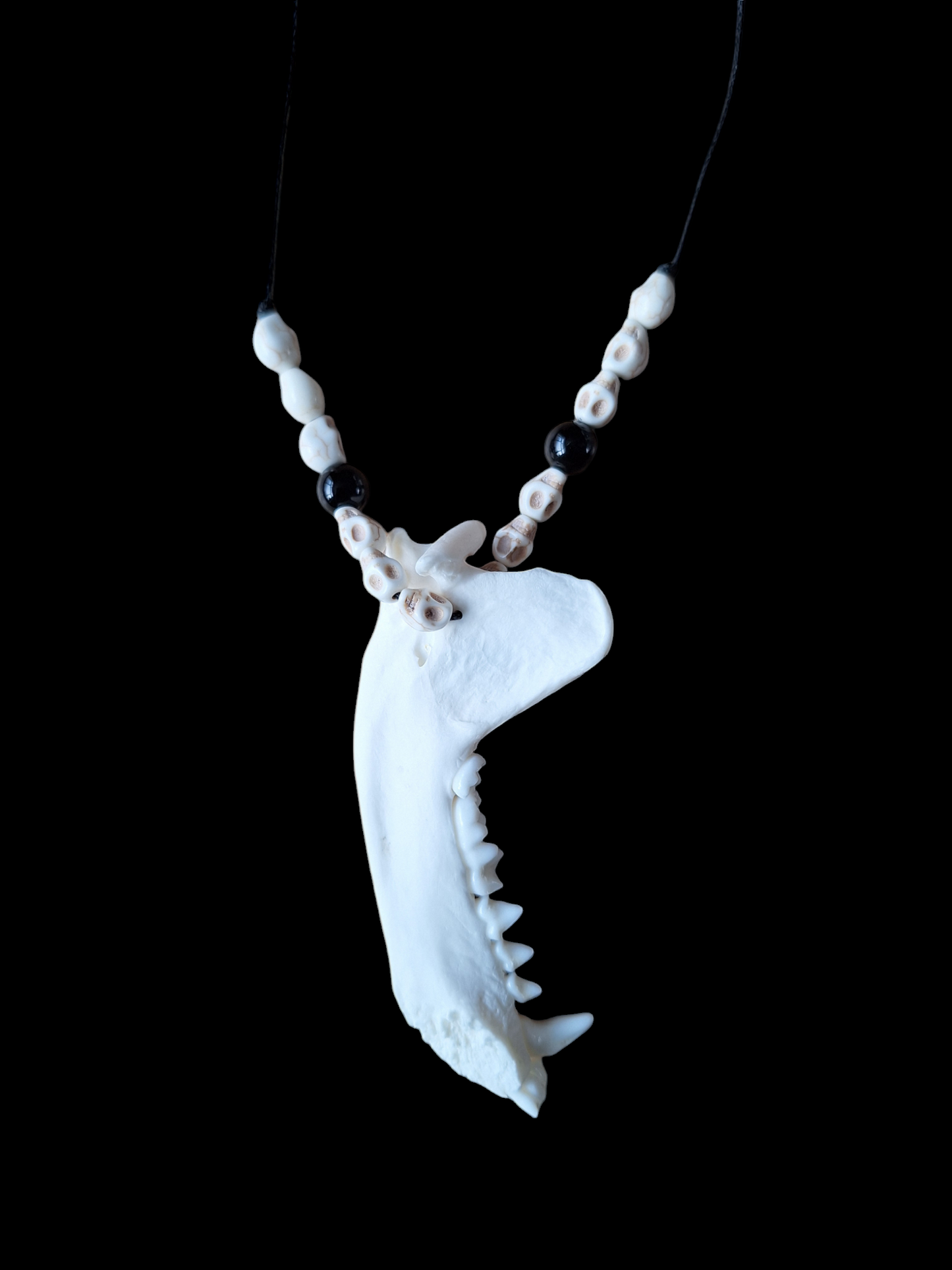 Badger jaw bone with howlite skulls and obsidian amulet necklace