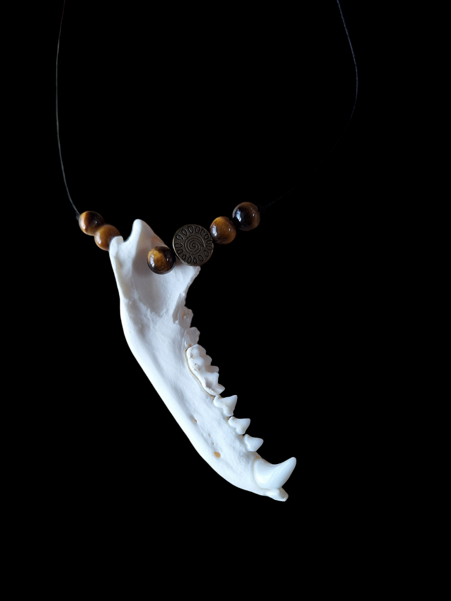 Badger jaw bone and tiger's eye amulet necklace