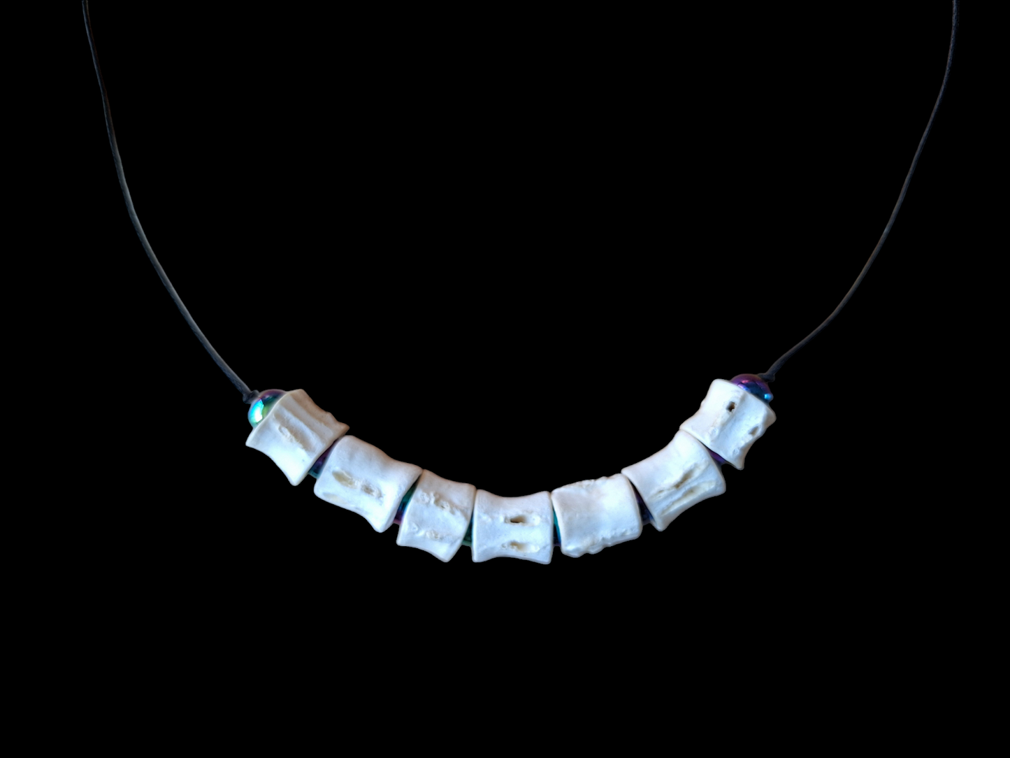 Shark vertebrae and rainbow hematite amulet necklace #1