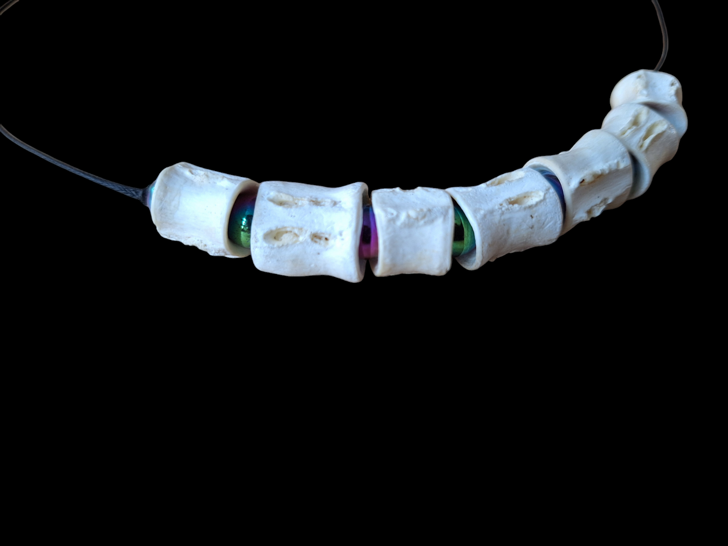 Shark vertebrae and rainbow hematite amulet necklace #1