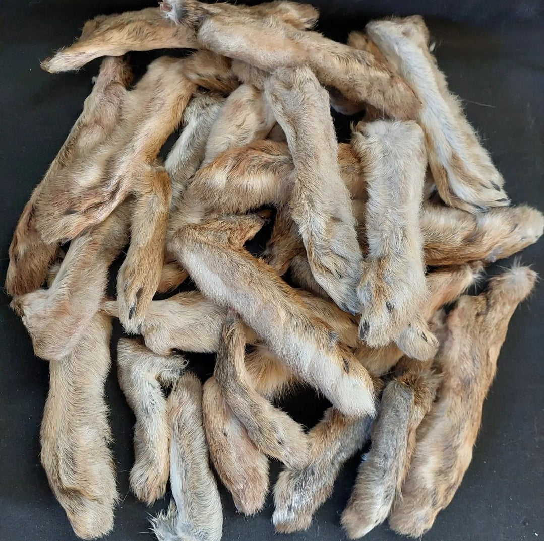 Rabbit or hare foot