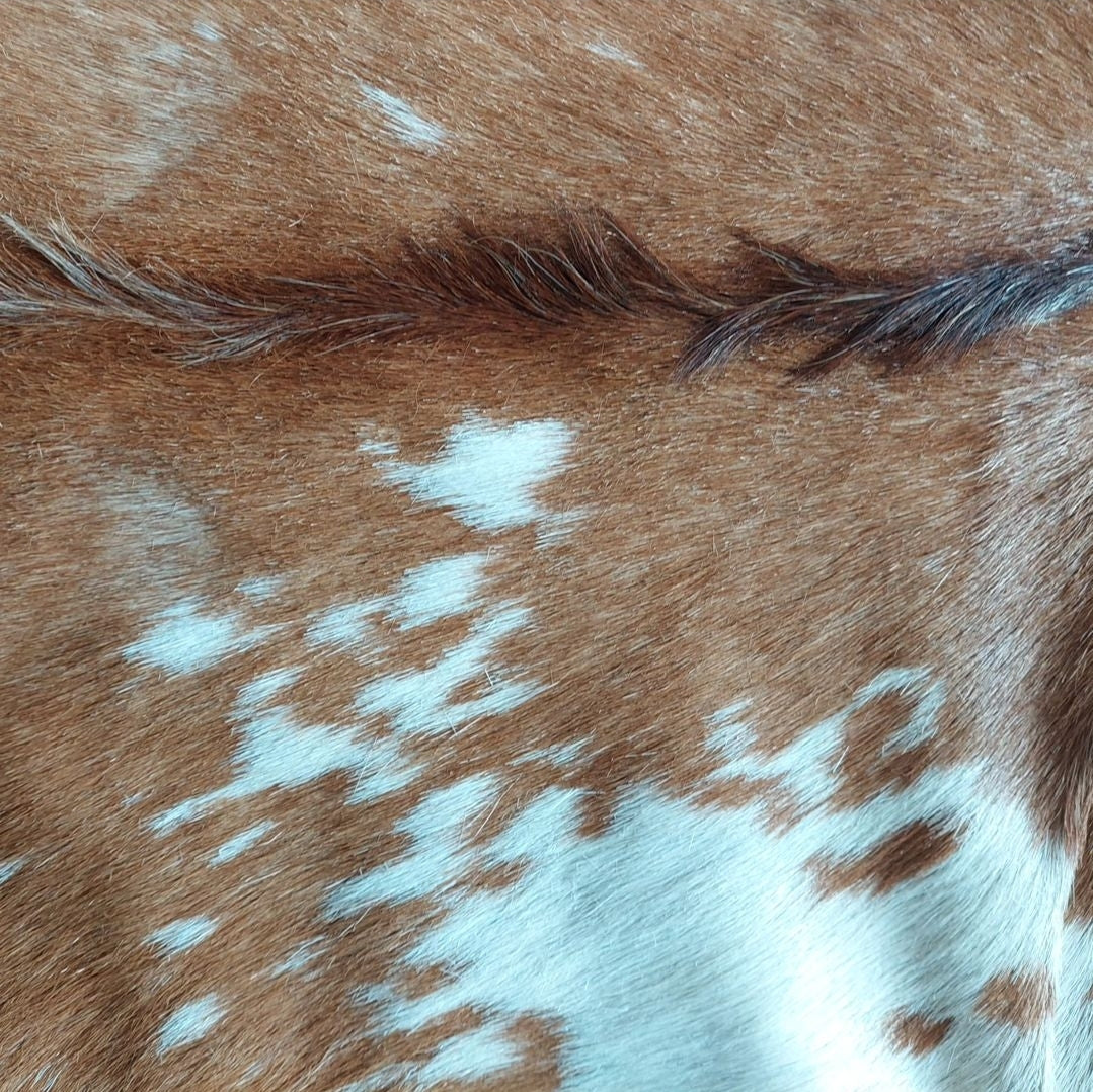 Goat hide
