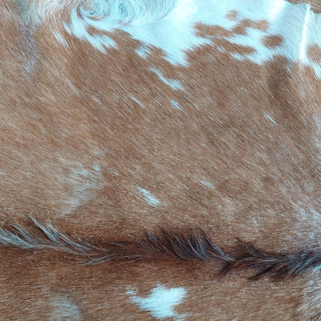 Goat hide