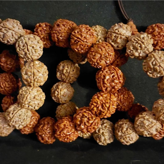 Rudraksha seed bracelet