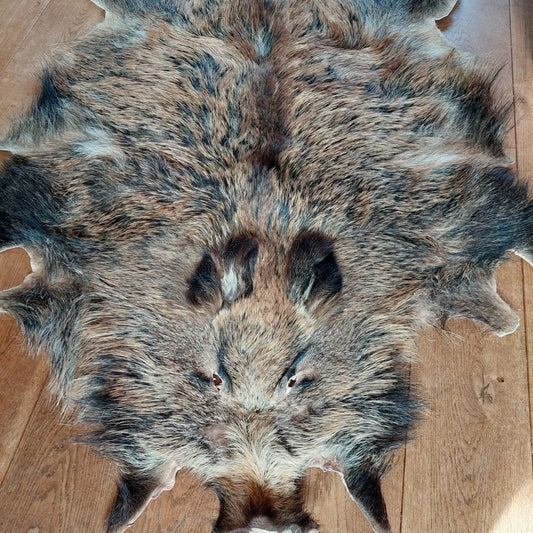 Wild boar hide #1