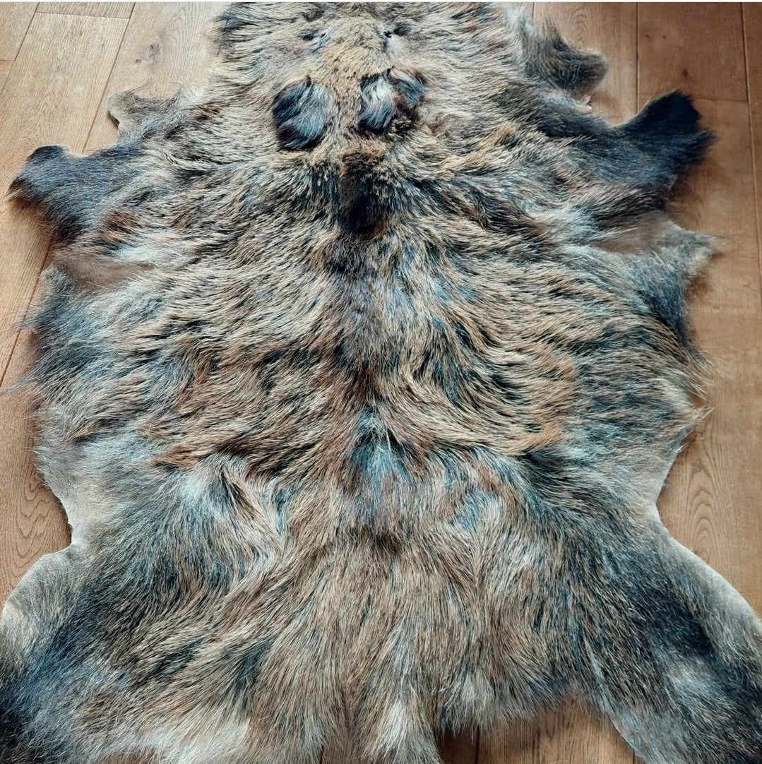 Wild boar hide #1
