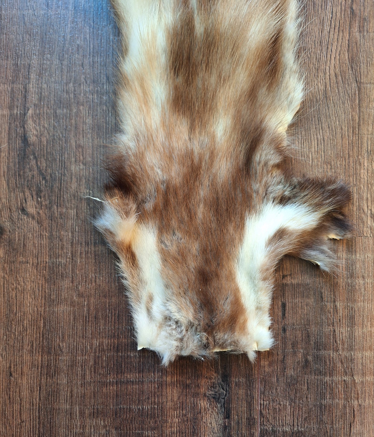 Stone marten hide #7, crafting piece