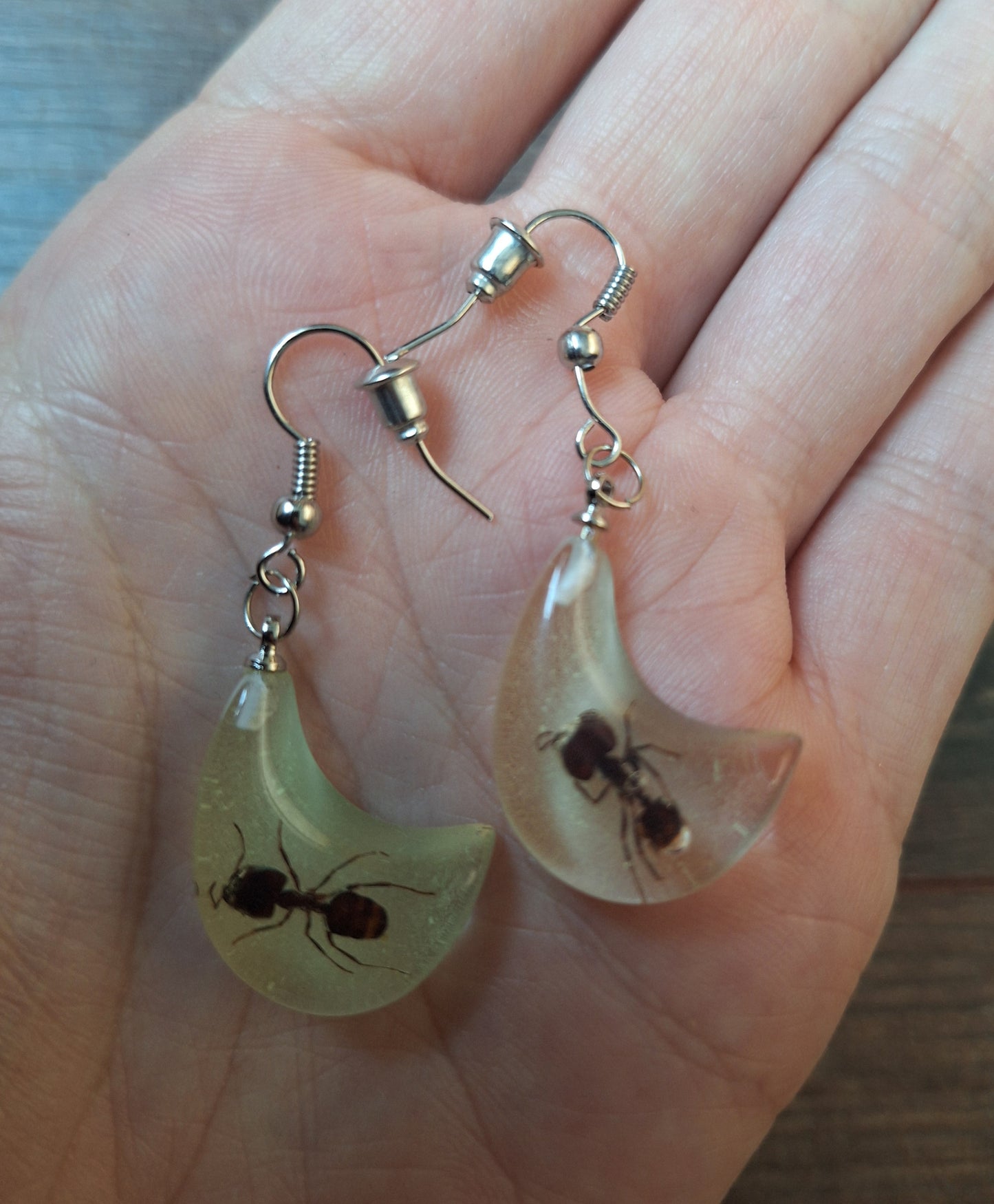 Ants in glow-in-the-dark resin earrings