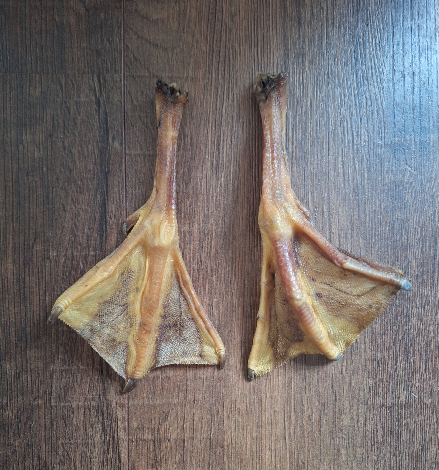 Goose lower legs, set of 2