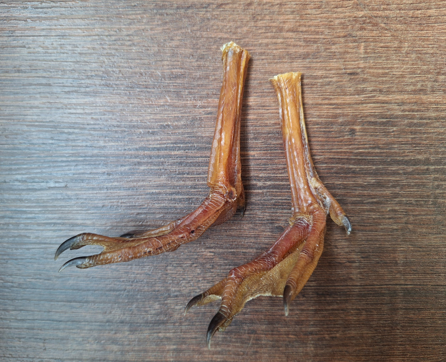 Duck lower legs, set of 2
