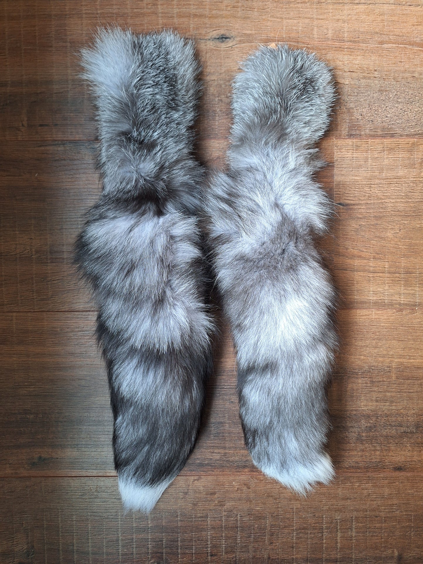 Painted silverfox tails