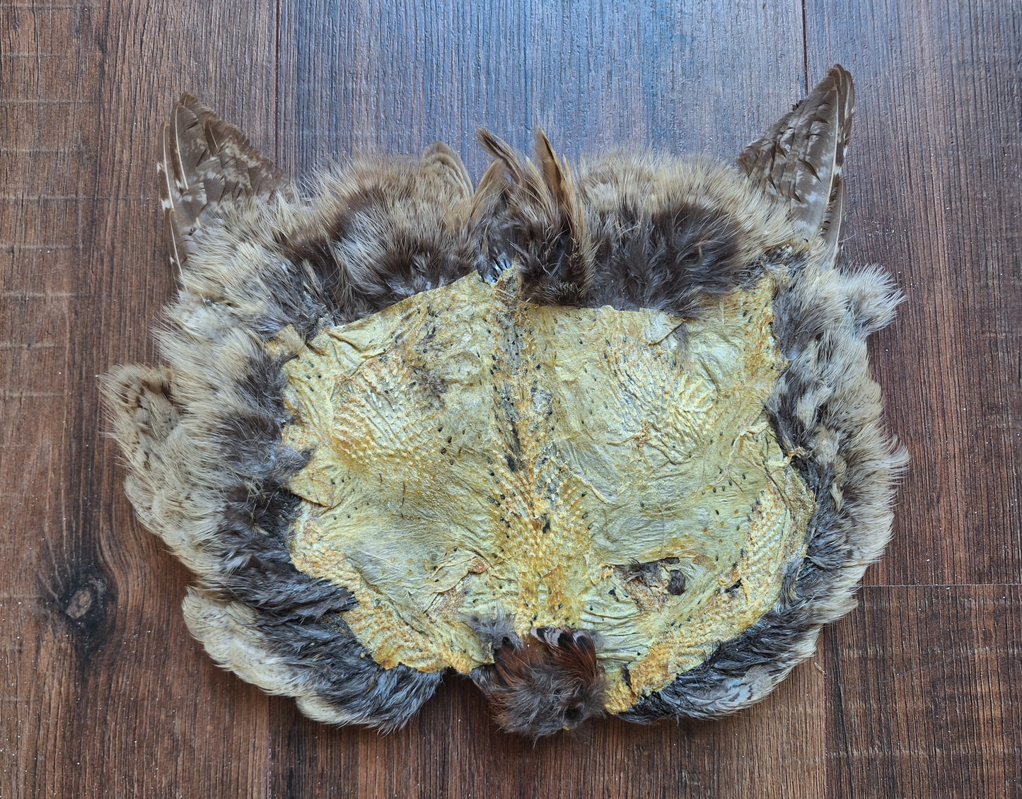 Pheasant skin