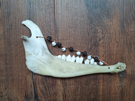 Roe deer jawbone rattle