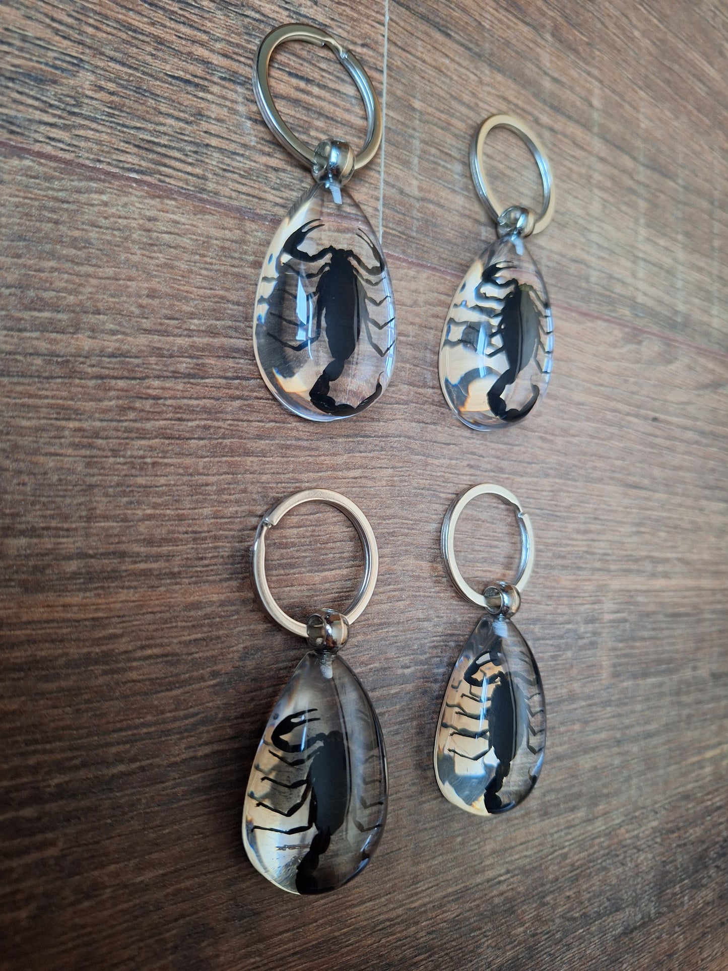 Scorpion in resin keychain