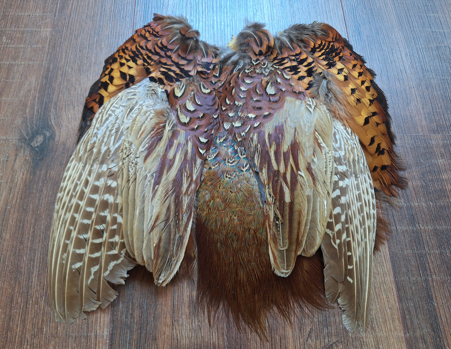 Pheasant skin