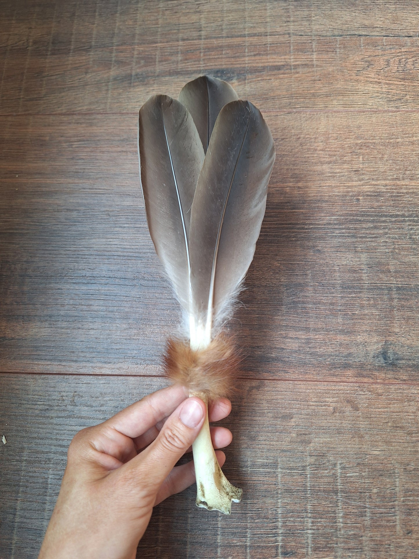 Bone feather fan Goose
