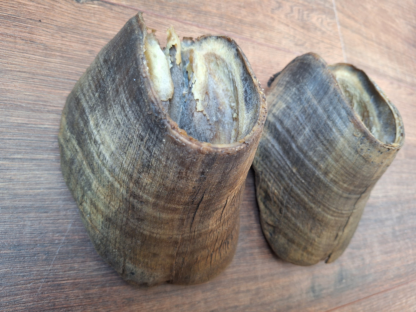 Horse hooves