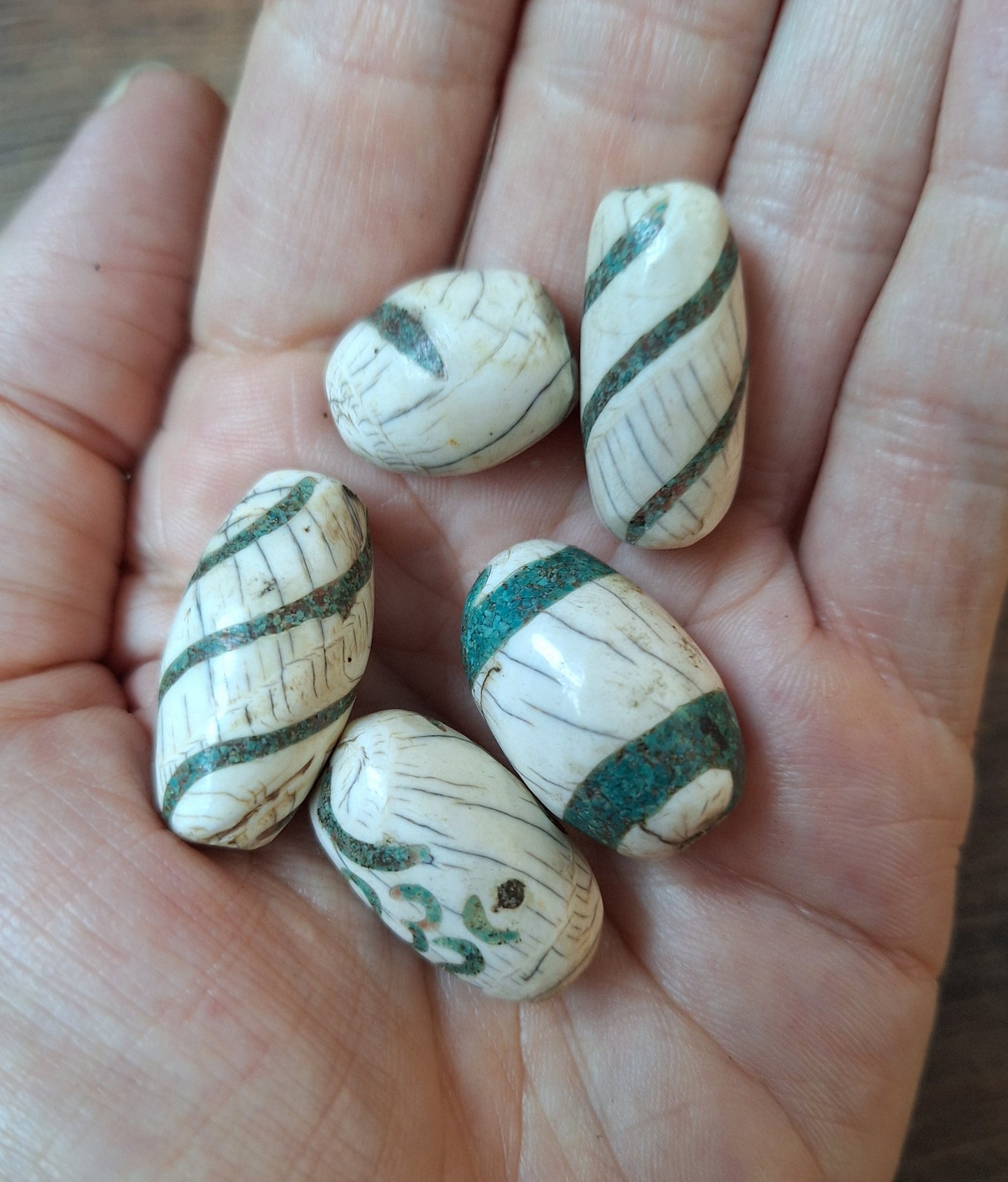 Old conch shell beads with turquoise inlay, set of 5
