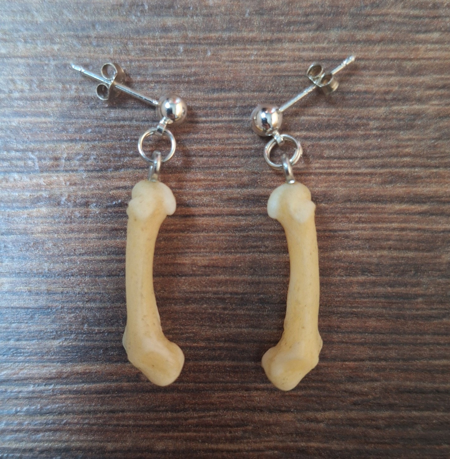 Badger foot bones amulet earrings