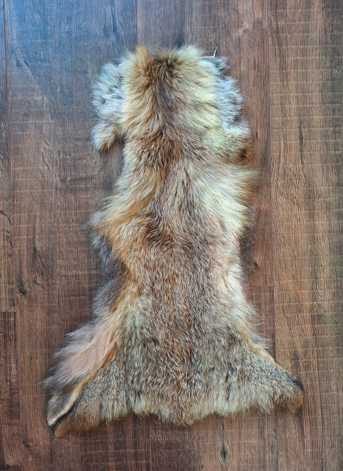 Red fox hide crafting piece