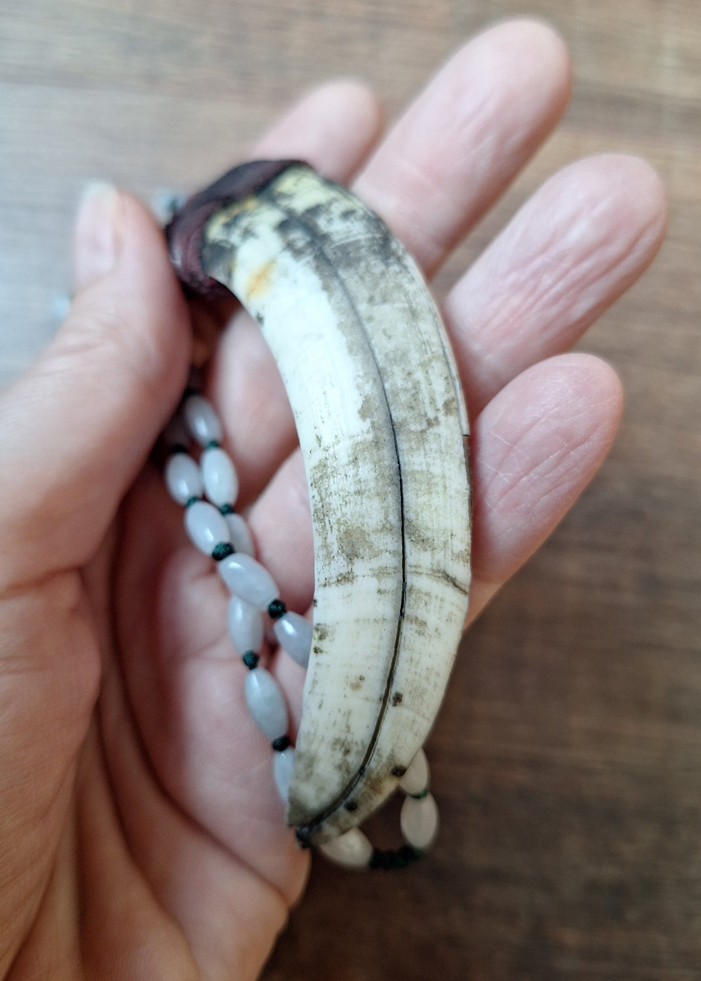 Vintage Nepalese snow quartz necklace with wild boar tooth pendant