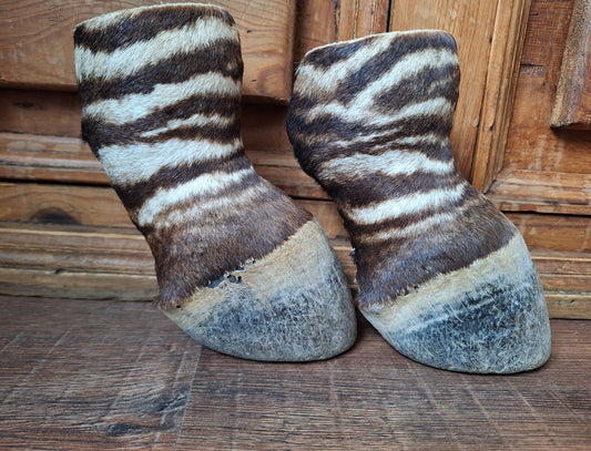 Vintage zebra feet, set of 2
