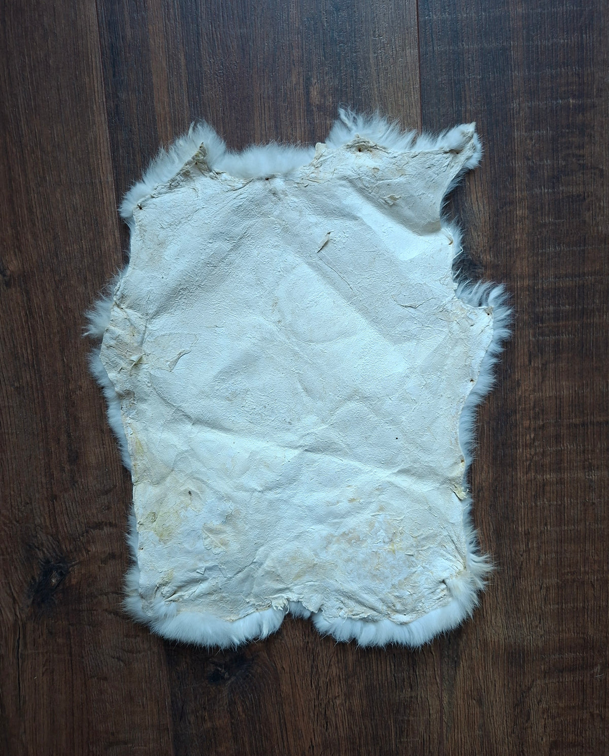 Rabbit hide #29